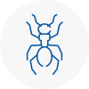 Ant Removals In Bideford