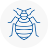 Bed Bug Extermination In Bideford
