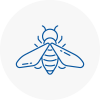 Bee Nest Removal Bideford