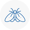 Moth Control Specialists In Bideford